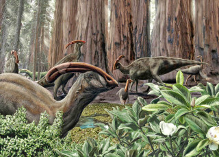 Dinosaurs forest trees plants bird - a bird in the foreground free wallpaper