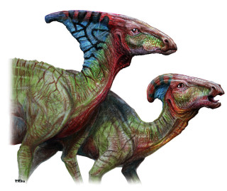 Dinosaurs drawing color size heads - ultra realistic illustration free wallpaper
