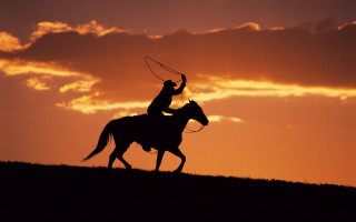 Man horse lasso sunset dawn - western free wallpaper
