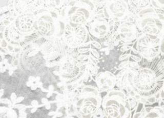 White lace flower rococo flemish - a flower pattern free wallpaper for desktop