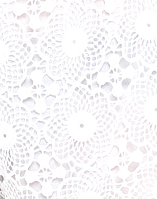 Woman red tie white shirt 3 - earnst haeckel free wallpaper