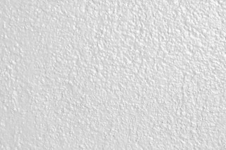 White wall black white cat 2 - back side free wallpaper