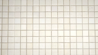 Checkered tile cat bathroom minimalist - agnes martin free wallpaper
