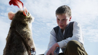 Boy petting rat animal looking - david teniers iii free wallpaper