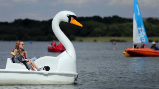 Woman child swan boat water - detail free wallpaper