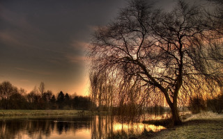 Tree grass water sunset dawn - anton graff free wallpaper
