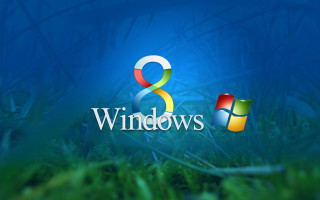 Windows 8 blue background grass - a logo free wallpaper