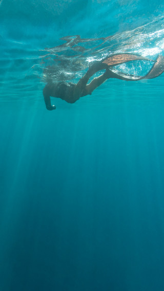 Swimming ocean person long tail - free other wallpaper for mobile