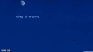 Bird moon sky flying quote - edward ruscha free wallpaper for desktop