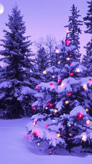 Christmas tree snow moon purple - a full moon in the background free wallpaper for mobile