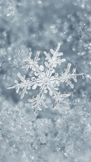 Snowflake ambient occlusion winter cherry - a snowflake free wallpaper