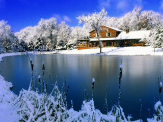 House snow trees lake large 2 - movement free wallpaper