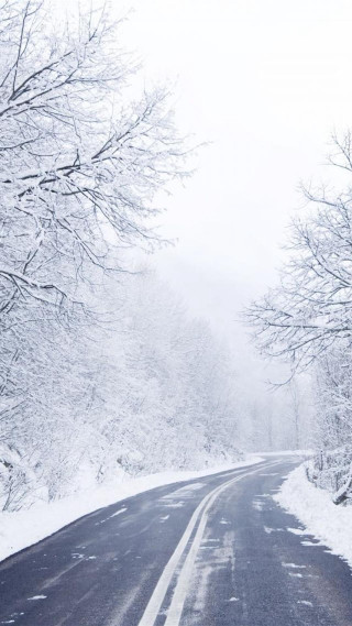Snowy road with trees stop - free winter wallpaper for mobile