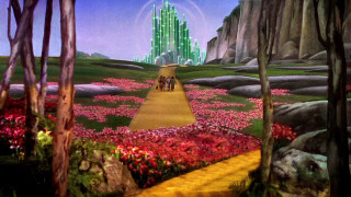 Wizard castle flowers walkway yellow - dorothy coke free wallpaper