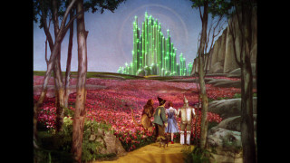 Wizard castle flowers trees yellow - dorothy coke free wallpaper