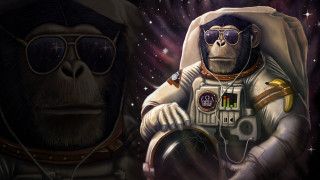 Monkey space suit sunglasses astronaut - alex petruk ape free wallpaper