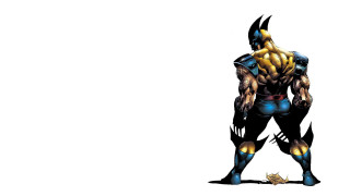 Man wolverine costume armor muscular - marvel comic free wallpaper for desktop
