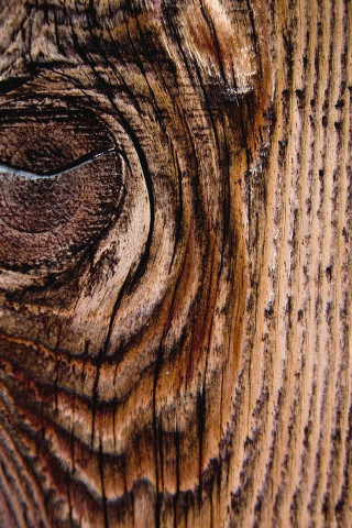 Wood texture closeup circular hole - free textures wallpaper for mobile