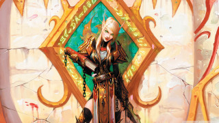 Woman sword stained glass window - frame free wallpaper