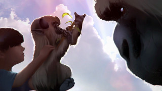 Boy holding dog kite air - a boy free wallpaper