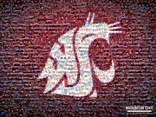 Washington state football team logo - temporary art free wallpaper