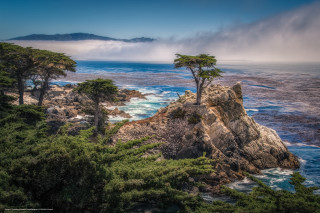 Tree rocky cliff ocean mountains - the ocean and mountains free wallpaper