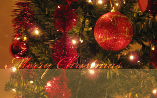 Christmas tree red ornament merry - a merry christmas message free wallpaper