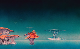 Mushrooms water background foreground painting - mushroom free wallpaper
