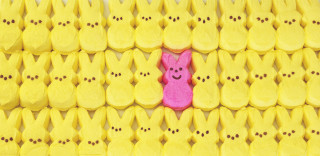 Pink bunny peeking yellow wall - pink free wallpaper