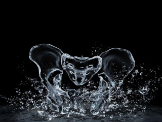 Elephants splashing water dark background - the dark background free wallpaper for desktop