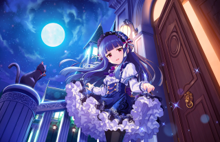 Girl dress door cat handle - moonlight free wallpaper for desktop