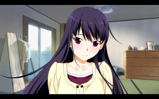 Girl long hair room closet - a room free wallpaper for desktop