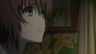 Long hair white shirt window - figurative free wallpaper