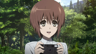 Person holding camera forest trees - a camera in front free wallpaper