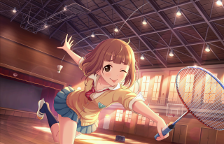 Girl playing tennis large room - a large room free wallpaper for desktop