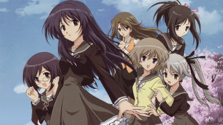 Anime girls tree pink flowers 3 - a group of anime girls free wallpaper