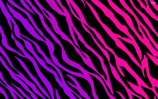 Zebra print black background pink 2 - the left side of the image free wallpaper