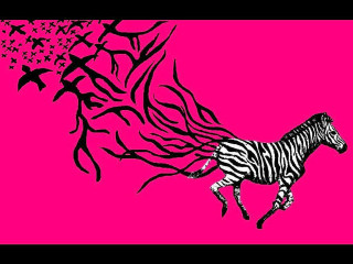 Zebra running birds pink background - a zebra free wallpaper