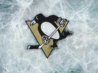 Penguin hockey sticker ice rink - a hockey sticker free wallpaper