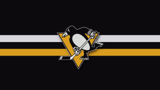 Pittsburgh penguins logo black yellow - a hockey sticker free wallpaper