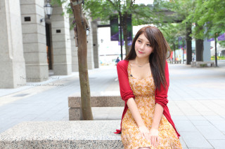 Woman bench citypark tree building - a tree in the background and a building in the background free wallpaper for desktop