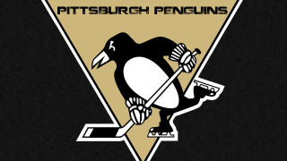Penguin hockey stick puck Pittsburgh - its paw free wallpaper for desktop