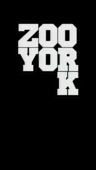 Zoo york black white logo - cornelisz hendriksz vroom free wallpaper for mobile