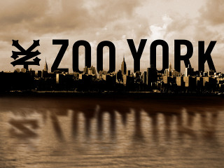 Zoo york city cloudy sky - david wojnarowicz free wallpaper