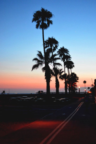 Truck driving palm trees sunset - free sunset wallpaper for mobile