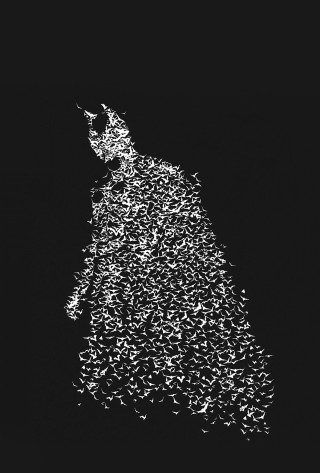 Man birds coat hat black - photo of a man free wallpaper