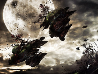 Flying birds moonlit sky full - sky free wallpaper for desktop