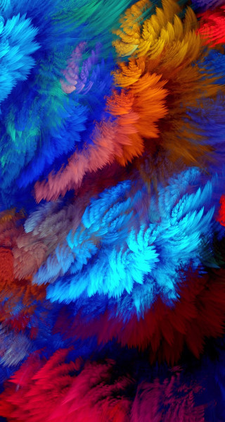 Colorful feathers background different colors - a black border free wallpaper for mobile