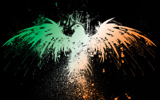 Colorful bird wings paint splatters - a colorful bird free wallpaper