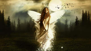 Woman wings field trees birds - wing free wallpaper for desktop